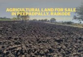 Agricultural Land for Sale in Peepadpally, Raikode – Near NIMZ Zaheerabad Corridor