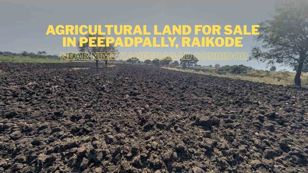 Agricultural Land for Sale in Peepadpally, Raikode – Near NIMZ Zaheerabad Corridor